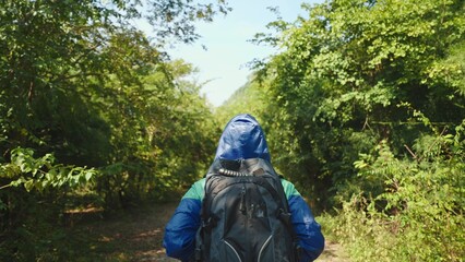 Woman hiker in blue raincoat with backpack walking at the jungle