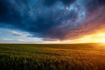 An accumulation of ominous storm clouds over a field at sunset.