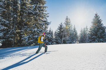 Mountaineer backcountry ski walking ski alpinist in the mountains. Ski touring in alpine landscape with snowy trees. Adventure winter sport. Kralova hola, Slovakia © Zedspider
