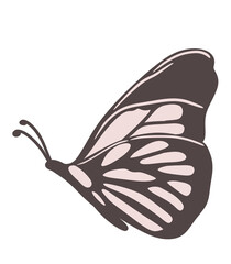 Hand drawn illustration of butterfly moth insect in beige brown colors. Nature species arthropod, minimalist style, earth tone drawing, garden forest animal, trendy decor element, neutral faded print.