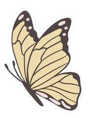 Hand drawn illustration of butterfly moth insect in beige brown colors. Nature species arthropod, minimalist style, earth tone drawing, garden forest animal, trendy decor element, neutral faded print.