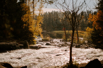 Fototapeta Rushing river on a cool, fall afternoon surrounded by trees in O obraz