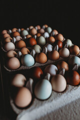 Rows of colorful farm fresh eggs