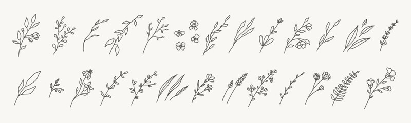 Minimal hand drawn floral botanical line art. Trendy simple elements of wild and garden plants, branches, leaves, flowers, herbs. Vector illustration for logo or tattoo, invitation save the date card