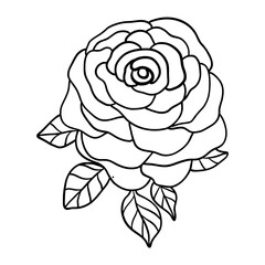 rose