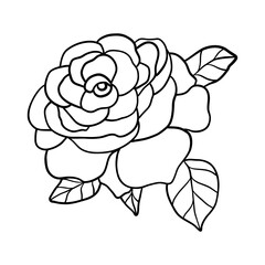 rose