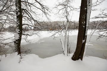 Winter in the city park