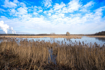 Winterstille in der Oberlausitzer Heide- und Teichlandschaft bei Klitten 1