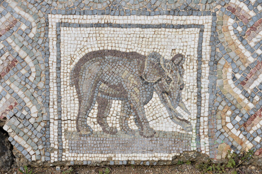 Ancient Elephant Mosaic at Roman Villas, Carthage