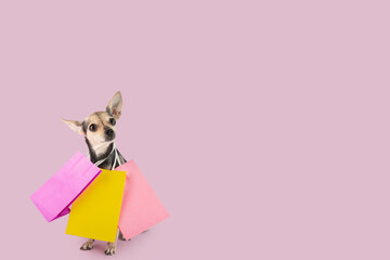cute dog carries gift bags on a pink background, dog birthday, pet shop