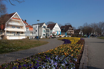 Flower beds on the waterfront of Langenargen in early March. Lake Constance