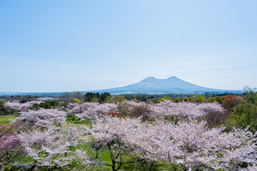 オニウシ公園から望む駒ヶ岳