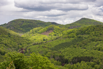 Wald im Siebengebirge, Nordrhein-Westfalen,  Deutschland