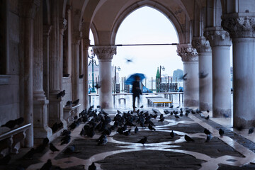 Silhouette man with umbrella by birds in historical building