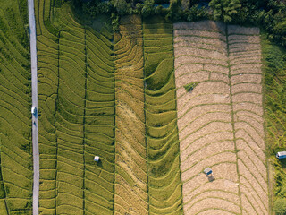 Aerial view of road amidst agricultural landscape
