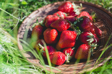 High angle close-up of strawberries in bowl on grassy field at garden