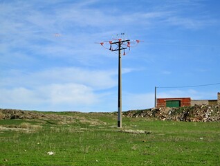Fototapeta na wymiar Typical Extremadura landscape in rural regions - Spain 