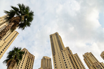 Fototapeta na wymiar The wide-angle view of Dubai's modern architecture, alongside palm trees