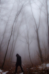 silhouette of a person walking in the fog