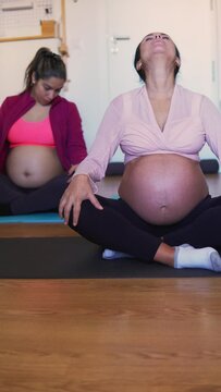 Multiethnic pregnant women doing yoga at home. Two pregnant women sitted on the floor on yoga mat and making neck exercising. Social media vertical video with copy space