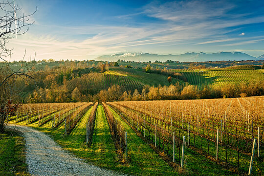 Colli del Prosecco