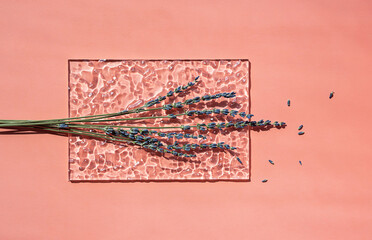 Lavender creative composition. Trendy artistic mock up with dried flowers.