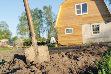 a shovel in the ground at the dacha