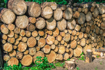 A woodpile with firewood for heating the house in cold weather. Heating the house in winter with firewood. View of sawn wood for the fireplace. Firewood that needs to be chopped with an axe.