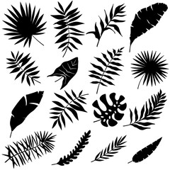 Fototapeta premium Tropical leaves vector. Set of palm leaves silhouettes isolated on white background.