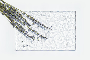 Lavender creative composition. Delicate modern mock up with dried flowers.