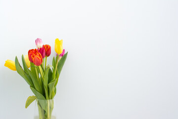 bouquet of red, yellow, and purple tulips on a light blue background. close-up. banner