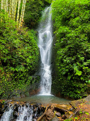 waterfall in the forest