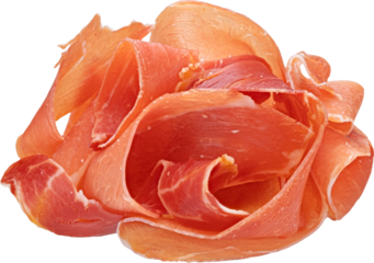 Italian prosciutto crudo or spanish jamon isolated 