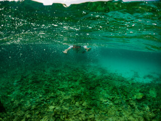 Obraz premium woman snorkeling in clear tropical sea
