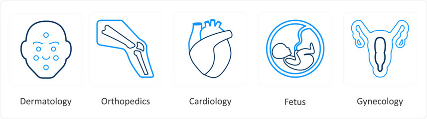 A set of 6 Medical icons as dermatology, orthopedics, cardiology
