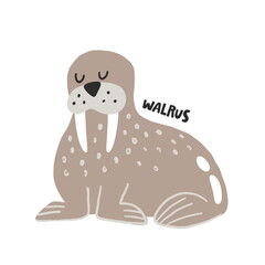 Walrus. Hand drawn vector cartoon illustration for kids. Amusing Sea Animal