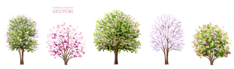 Vector watercolor blooming flower tree side view isolated on white background for landscape and architecture drawing, elements for environment and garden,botanical elements for section in spring 