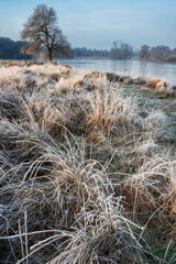 Stunning Winter sunrise landscape image at dawn with hoarfrost on the plants and trees with golden hour sunrise light