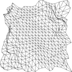 Mesh wireframe vector