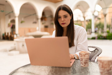 The young charming business woman at the laptop
