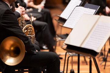 A musician is holding their French horn during a live classical symphony orchestra concert and waiting for their cue © Janisphoto