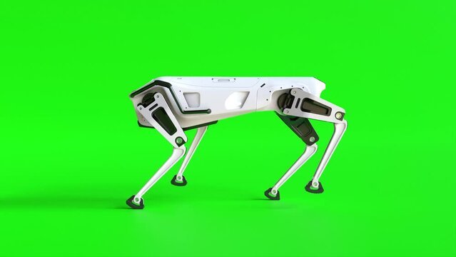 Video looping a robotic dog on a green screen
