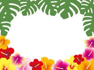 ハイビスカスモンステラF1