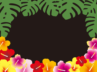 ハイビスカスモンステラF3