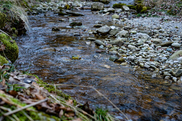 Kleiner Bachlauf im Frühling mitten im Wald