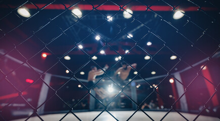 MMA Boxers fighters in fights without rules in ring cargo octagon hit kick, dark background spot...