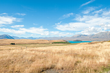 Mackenzie country with Lake Tekapo on South Island is one the most beautiful regions in New Zealand