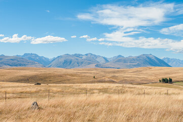 Fototapeta premium Mackenzie country on South Island is one the most beautiful regions in New Zealand