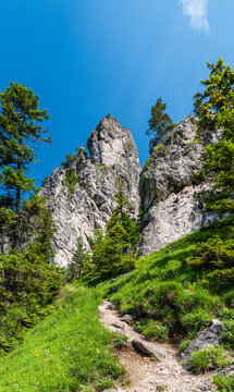 Mala Fatra mountains in Slovakia - higint trail with rocks above leads to Boboty hill