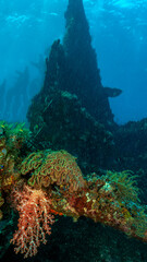 Scuba diving along the USAT Liberty wreck
